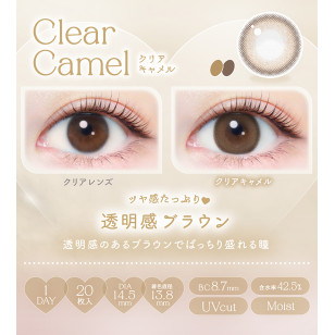 EverColor1day – Natural Clear Camel 日拋 每盒20片